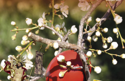 Martinsbote Laurentius Frühjahr 2022