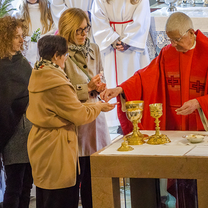 Palmweihe wird zu einem lebendigen Gottesdienst.